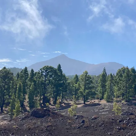 アパート Orlando - Ocean View In *